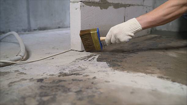24/7 Emergency Wet Basement Repair experts in Whitesburg, TN